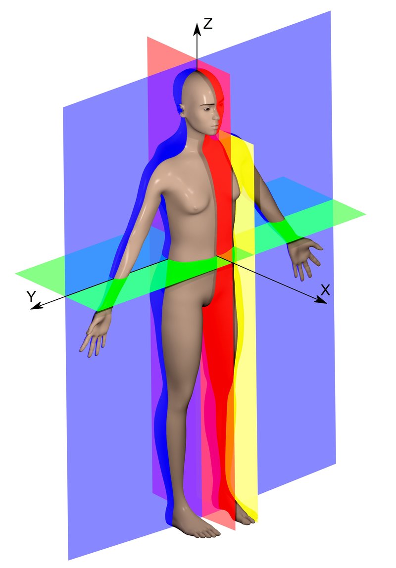 Human anatomical planes showing the median (sagittal), coronal (frontal), and transverse (axial) planes on a standing human figure, which define the directions used in radiographic positioning terminology