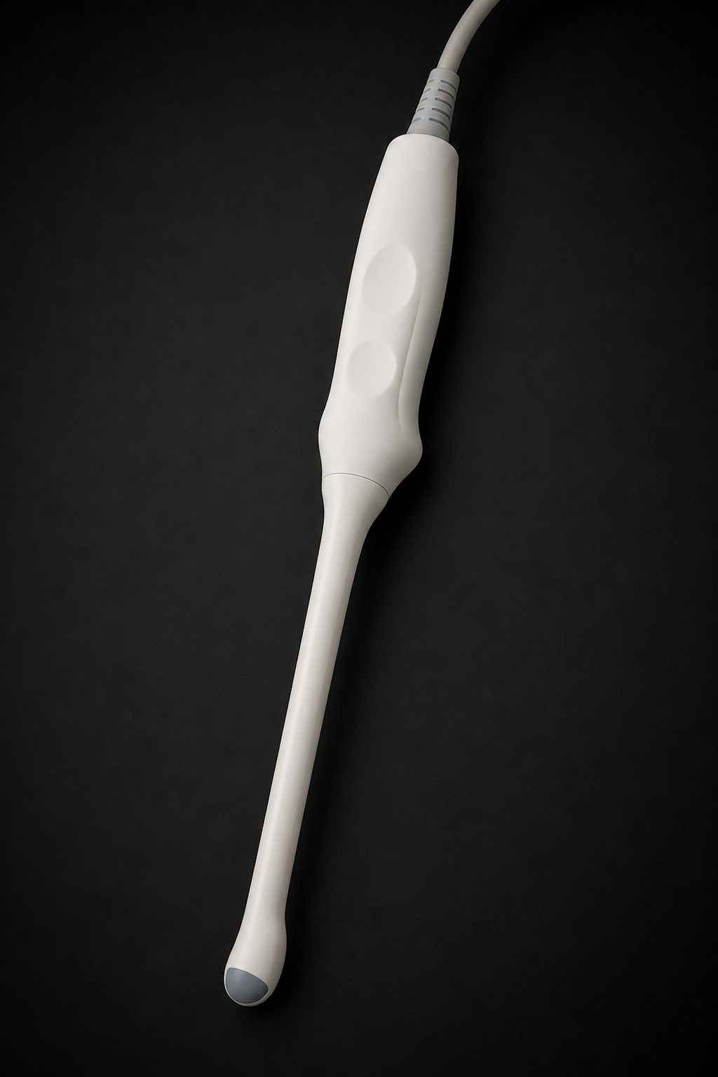 Photorealistic endocavitary ultrasound transducer with a long narrow shaft and rounded tip.