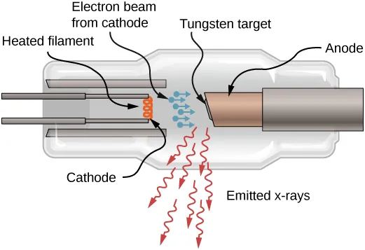 Cross-section diagram of an X-ray tube showing cathode, anode, and X-ray beam production